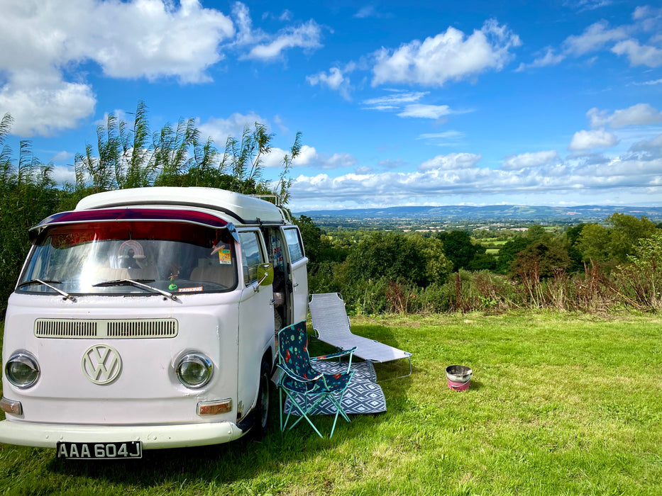Campsite Grass Pitch